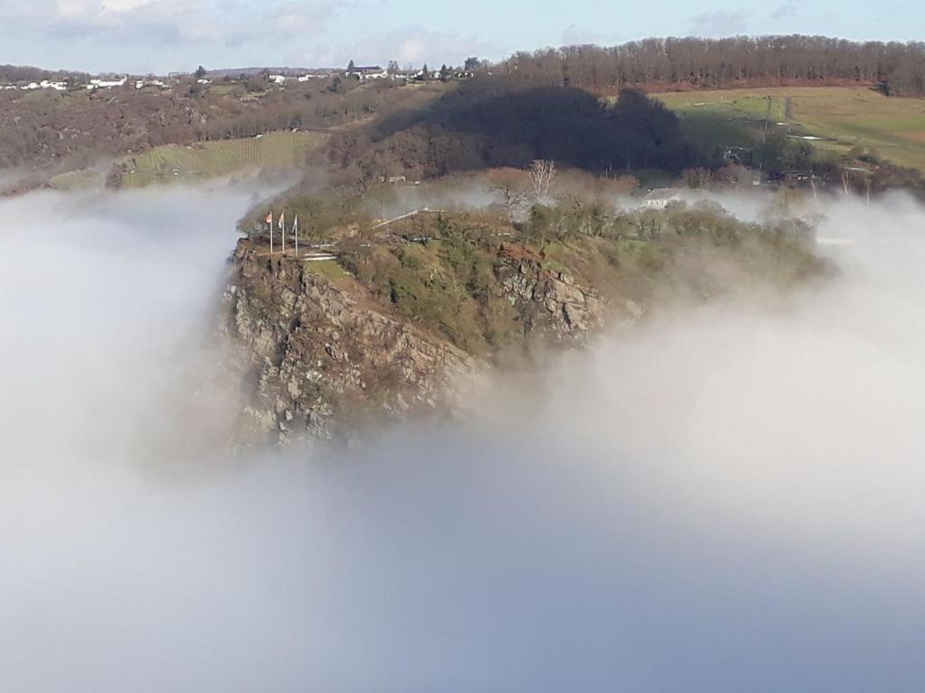 Ferienwohnung 554 - Urbar, Vis-A-Vis Der Loreley Urbar  Экстерьер фото
