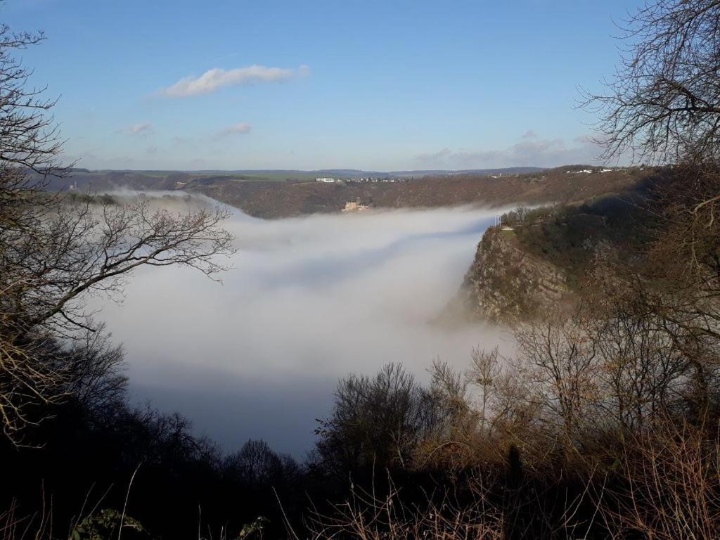 Ferienwohnung 554 - Urbar, Vis-A-Vis Der Loreley Urbar  Экстерьер фото