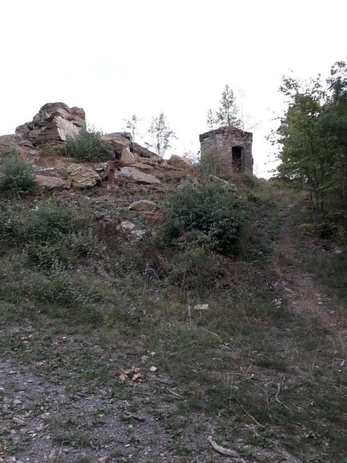 Ferienwohnung 554 - Urbar, Vis-A-Vis Der Loreley Urbar  Экстерьер фото